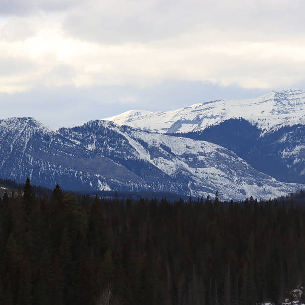 istock Cochrane and Sundry Alberta Scenery with wolves and wild horses. 2212253242