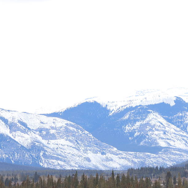 istock Cochrane and Sundry Alberta Scenery with wolves and wild horses. 2212253301