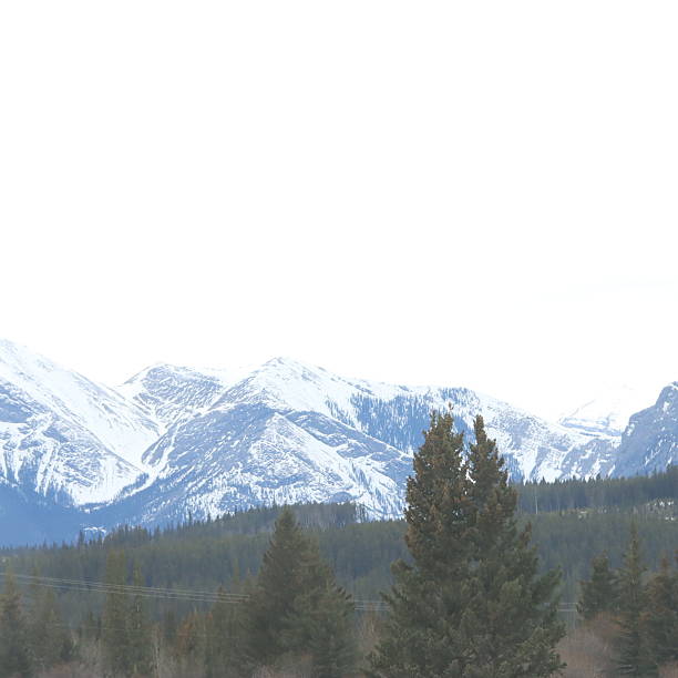 Cochrane and Sundry Alberta Scenery with wolves and wild horses.