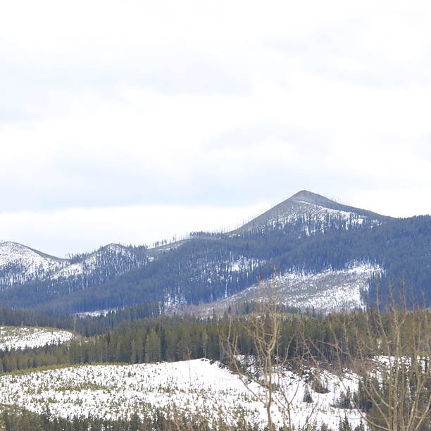 istock Cochrane and Sundry Alberta Scenery with wolves and wild horses. 2212253396