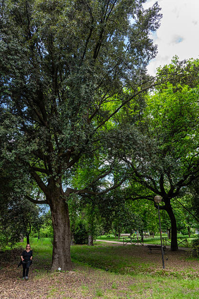 Donna passeggia nel parco