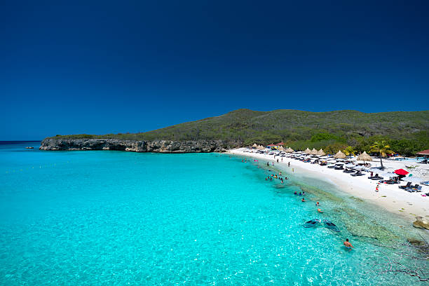 Elevated view of Chairs and umbrellas on Grote Knip / Playa Kenepa Grandi beach, Curacao