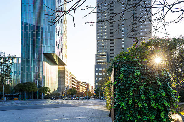 Green area in the cityscape at the magic hour. Sustainability and Environment