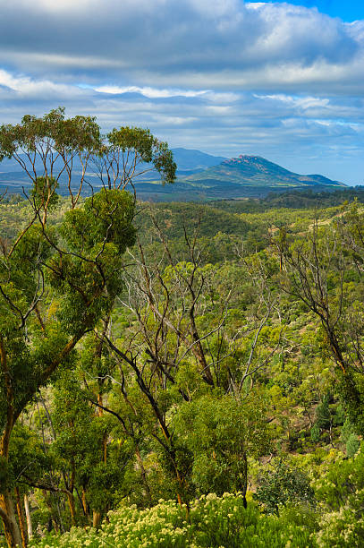 istock View of the Flinders Ranges, South Australia 2212270091