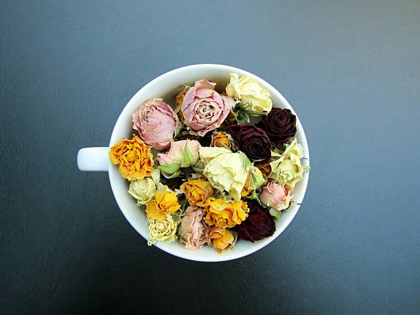 Colorful dry roses in white porcelain tea cup on black background