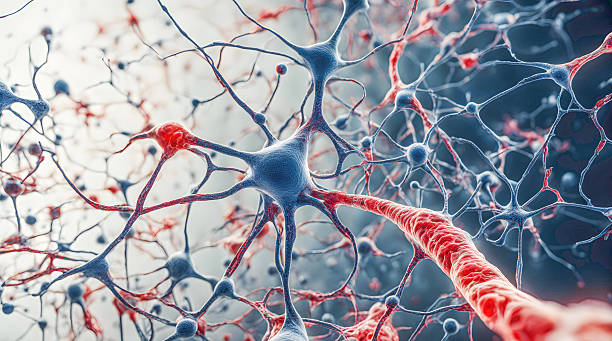 istock Microscopic of Neural network Brain cells 2212271799