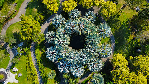 istock Trees arranged around a pond that look like an eye seen from above 2212272542