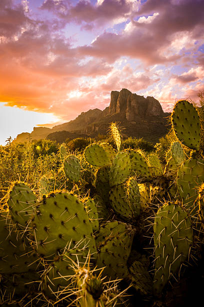istock Gold Canyon Serenade 2212278342