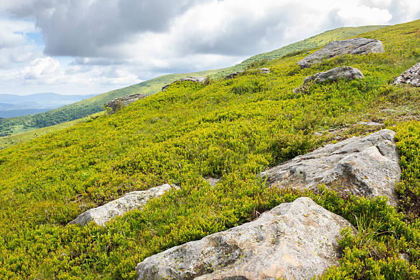 istock beautiful scenery of Carpathians in dappled light 2212278665