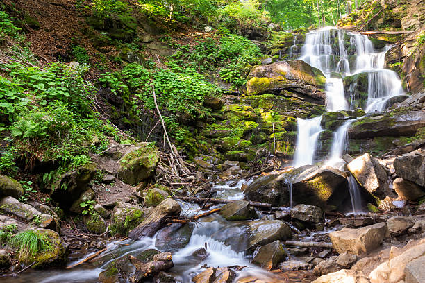 istock waterfall shypit of carpathian mountains in summer 2212278681