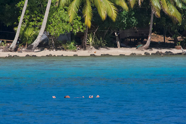 Swimmer floating in the clear blue waters off a beach in Tahiti