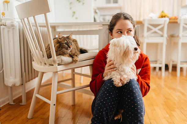 istock Furry Friends: A Moment of Homebound Joy 2212285043