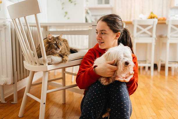 istock Furry Friends: A Moment of Homebound Joy 2212285061