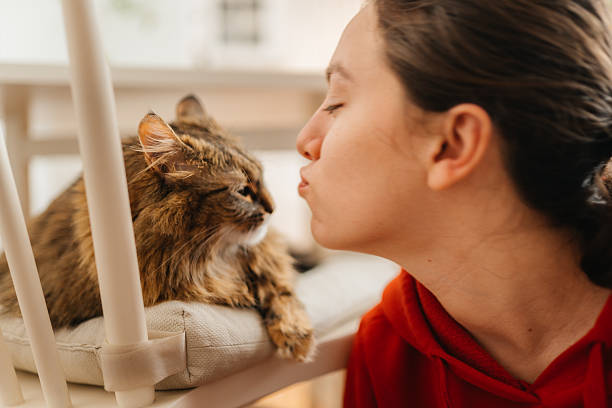 istock Unspoken Love: A Girl’s Tender Moment with Her Cat 2212285127