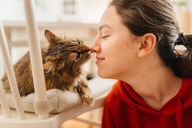 istock Unspoken Love: A Girl’s Tender Moment with Her Cat 2212285148