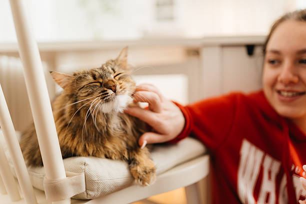 istock Unspoken Love: A Girl’s Tender Moment with Her Cat 2212285207