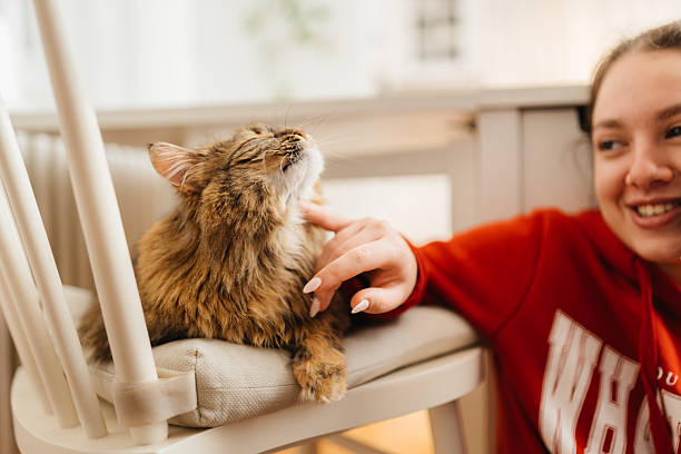 istock Unspoken Love: A Girl’s Tender Moment with Her Cat 2212285230