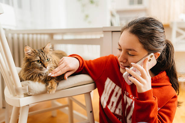 istock Connected Moments: A Girl’s Chat at Home 2212285256