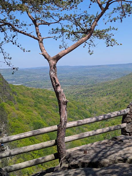istock A view overlooking the valley and mountains from Cloudland Canyon state Park 2212287511