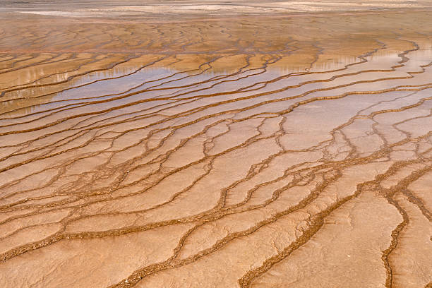 istock Limestone Terrace Details at Grand Prismatic Spring 2212290974
