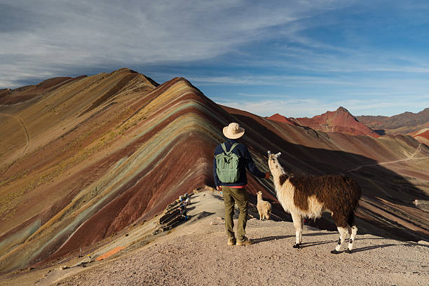 istock Man with cute alpacas at Rainbow mountains in Peru 2212291404