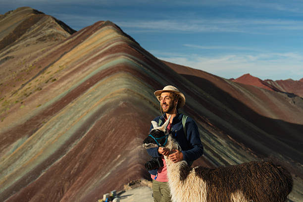 istock Man with cute alpacas at Rainbow mountains in Peru 2212291407