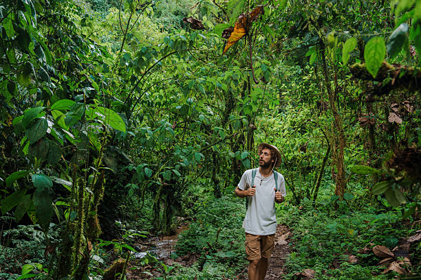 istock Man hiking through jungles in Mindo, Ecuador 2212292254