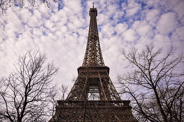 istock Eiffel Tower Among Bare Trees on a Bright Winter Day 2212296264