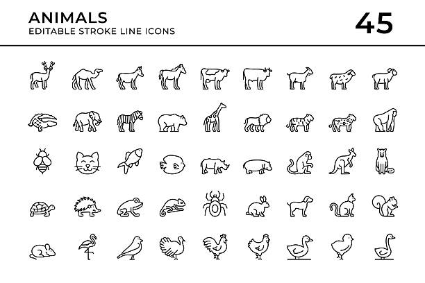 bildbanksillustrationer, clip art samt tecknat material och ikoner med animals editable stroke line icons - djurtema