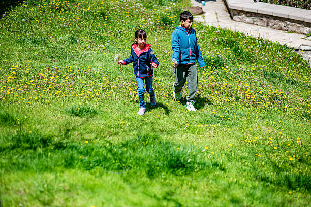 Brothers picking chrysanthemums on the lawn