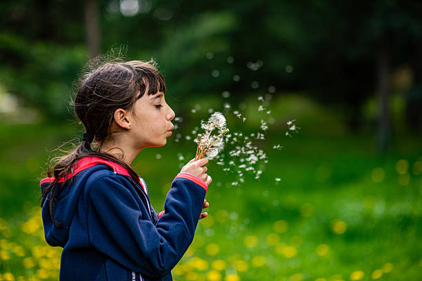 istock Girl blowing chrysanthemum - profile view 2212300964
