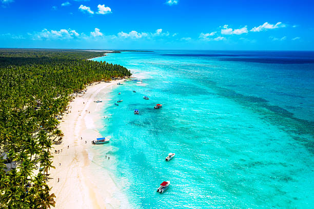 istock Tropical Caribbean beach from above, Dominican Republic 2212301017