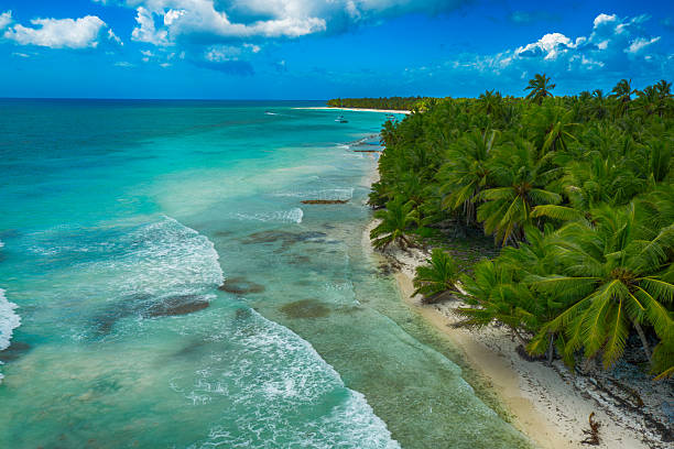 istock Tropical Caribbean beach from above, Dominican Republic 2212301064