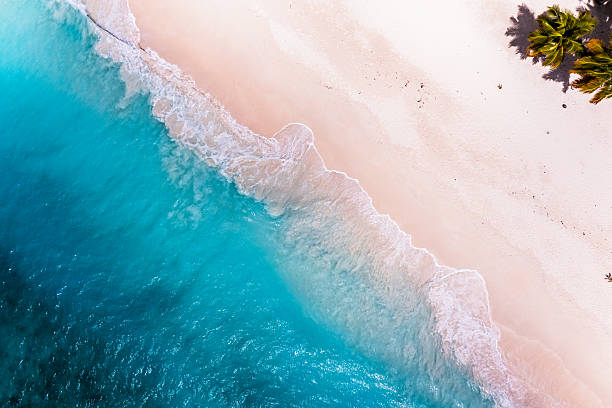 istock Tropical carribbean beach, aerial abstract background 2212301113