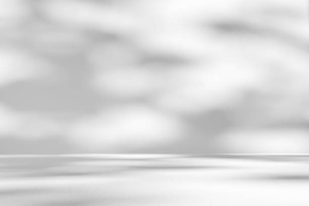istock Abstract white studio room with light and shadow from window and tree leaves background for product display presentation 2212305319