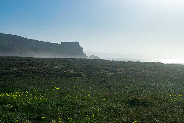Tranquil coastal scene with lush meadow, distant cliffs, and soft morning light. Evokes serenity, nature, and adventure. Ideal for travel, lifestyle, and scenic themes.