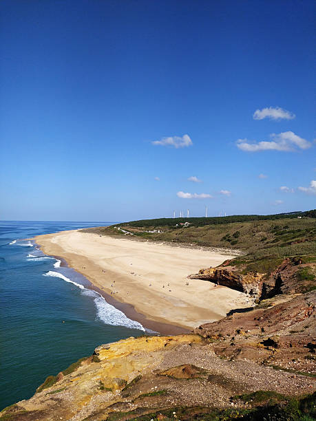 istock Coastal panorama featuring a vast sandy beach meeting turquoise ocean waves under a clear blue sky. Represents serenity, travel, and the beauty of nature. 2212305852