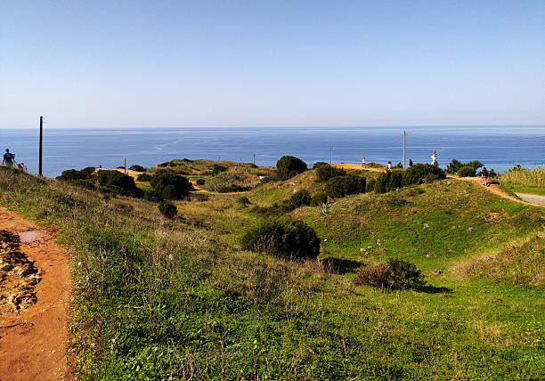 Scenic coastal landscape featuring rolling grassy hills overlooking the ocean. Perfect for travel, nature, or relaxation themes. Evokes a sense of peace and adventure.