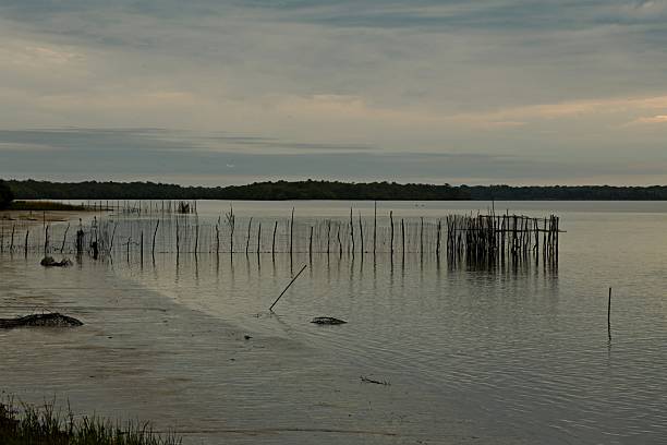 istock First day light at dawn, calm water lake 2212307301