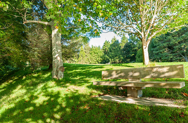 istock Bench seat in luxuriant McLaern Falls Park 2212310461