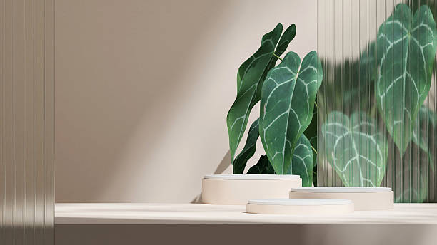 istock 3d render image scene mockup white color curved cylinder podium in landscape glass wall 2212316834