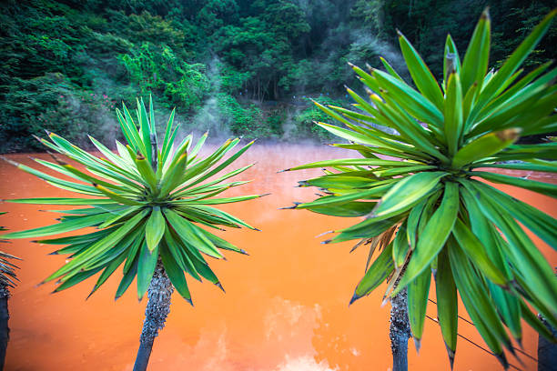 Beppu Hell Tour and Blood Pond Hell in Oita Prefecture