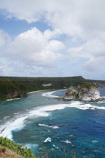 istock Landscape of Bird Island 2212320136