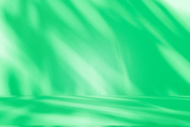 istock Studio style background wall decoration presentation uses white and green tones. with shadows cast from a nearby window, concept creating a decorative 2212325238