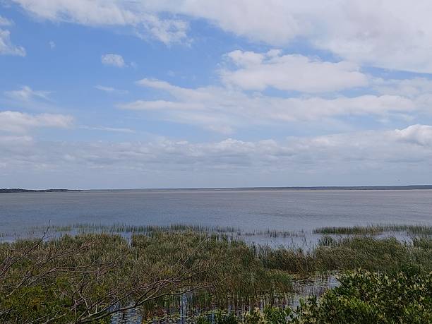 istock Wetland nature scene 2212332070