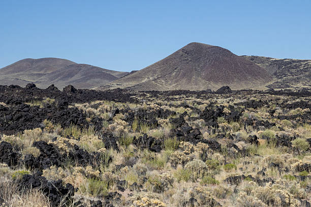 A vast expanse of lava rocks and scattered vegetation stretches across the arid landscape featuring distinct volcanic cones under a clear blue sky.