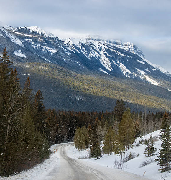 istock Snowy mountain road winds through pine forests under cloudy skies in winter landscape 2212334943