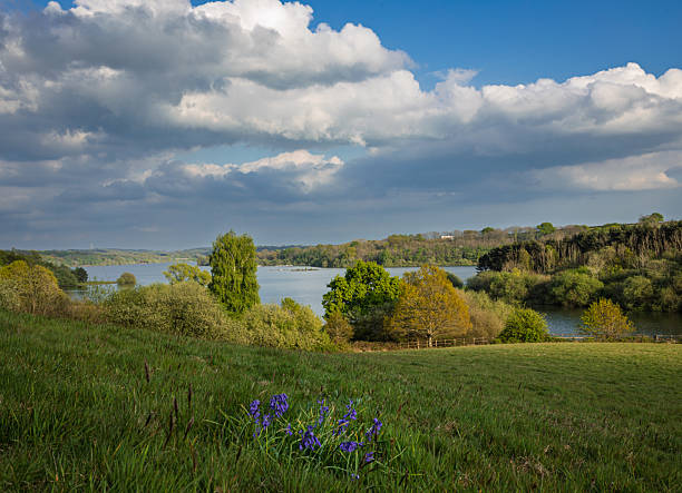 istock Bewl Water on the high weald 2212339251