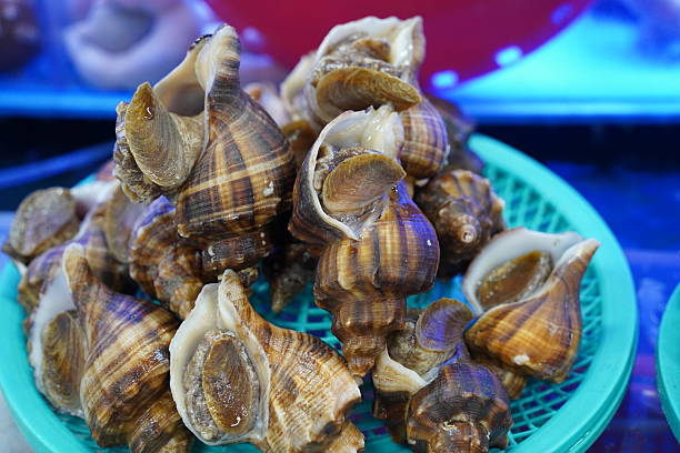 istock Fresh Whelks A Pile of Sea Snails Ready for Cooking 2212340835