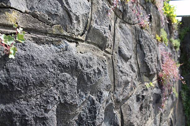istock Exploring the rustic charm of an ancient stone wall adorned with greenery, capturing nature's delicate touch in a peaceful urban setting on a bright afternoon 2212341858